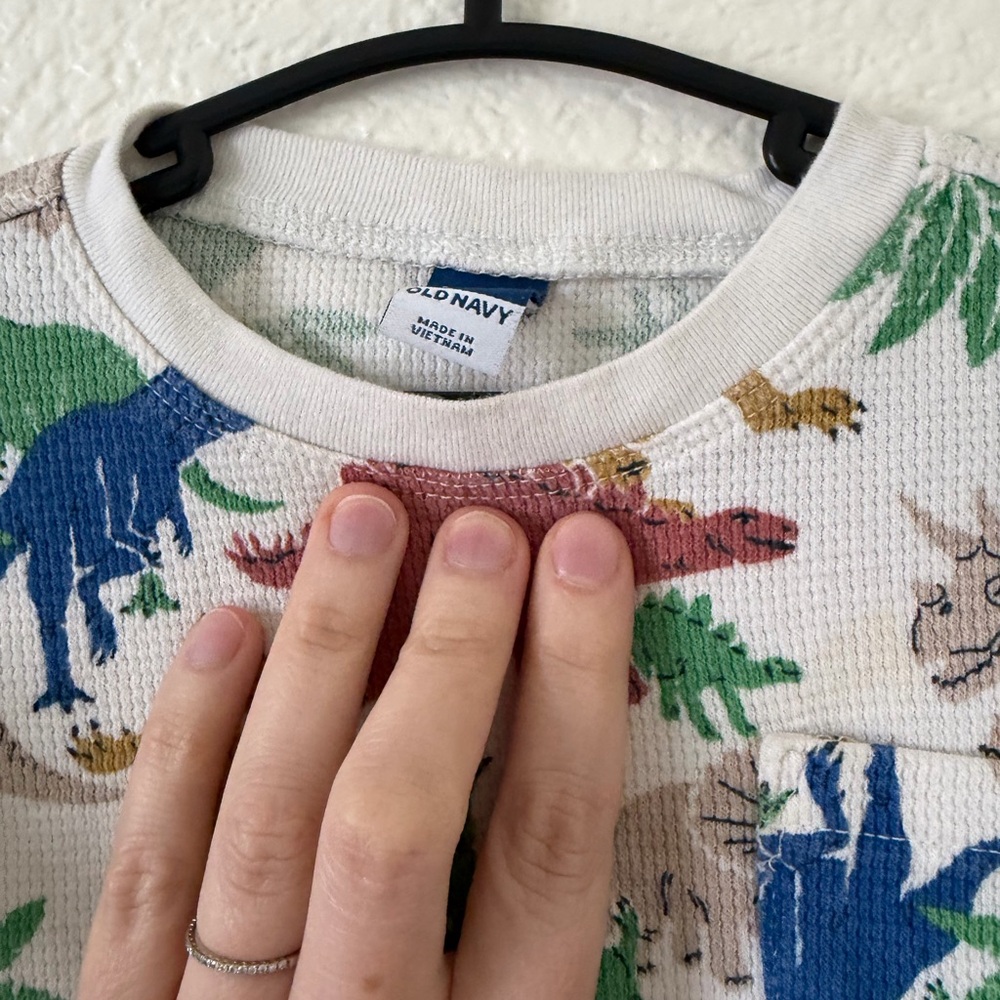 Matching Dinosaur Set - Picture 7 of 11